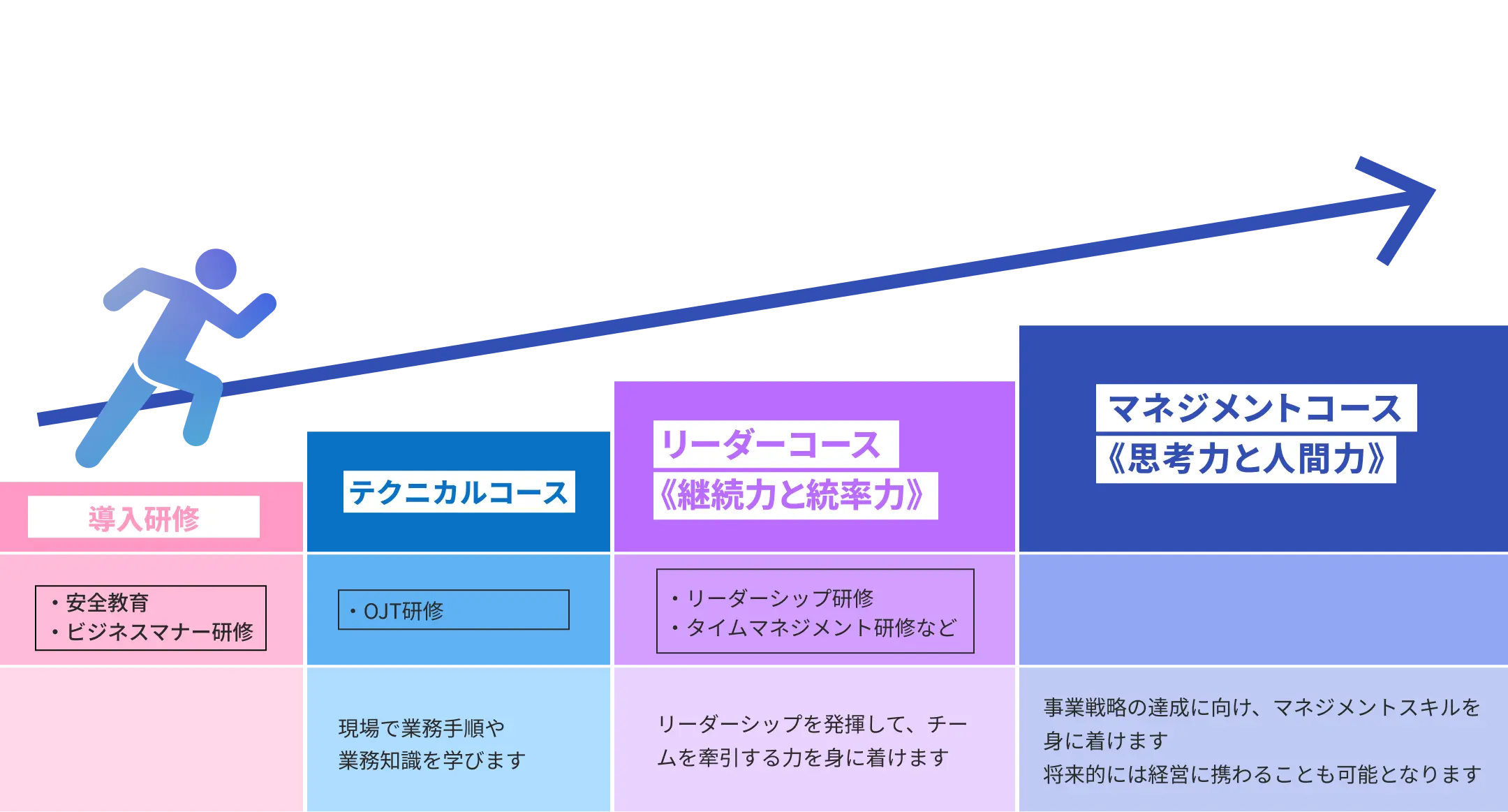 入社後のキャリア